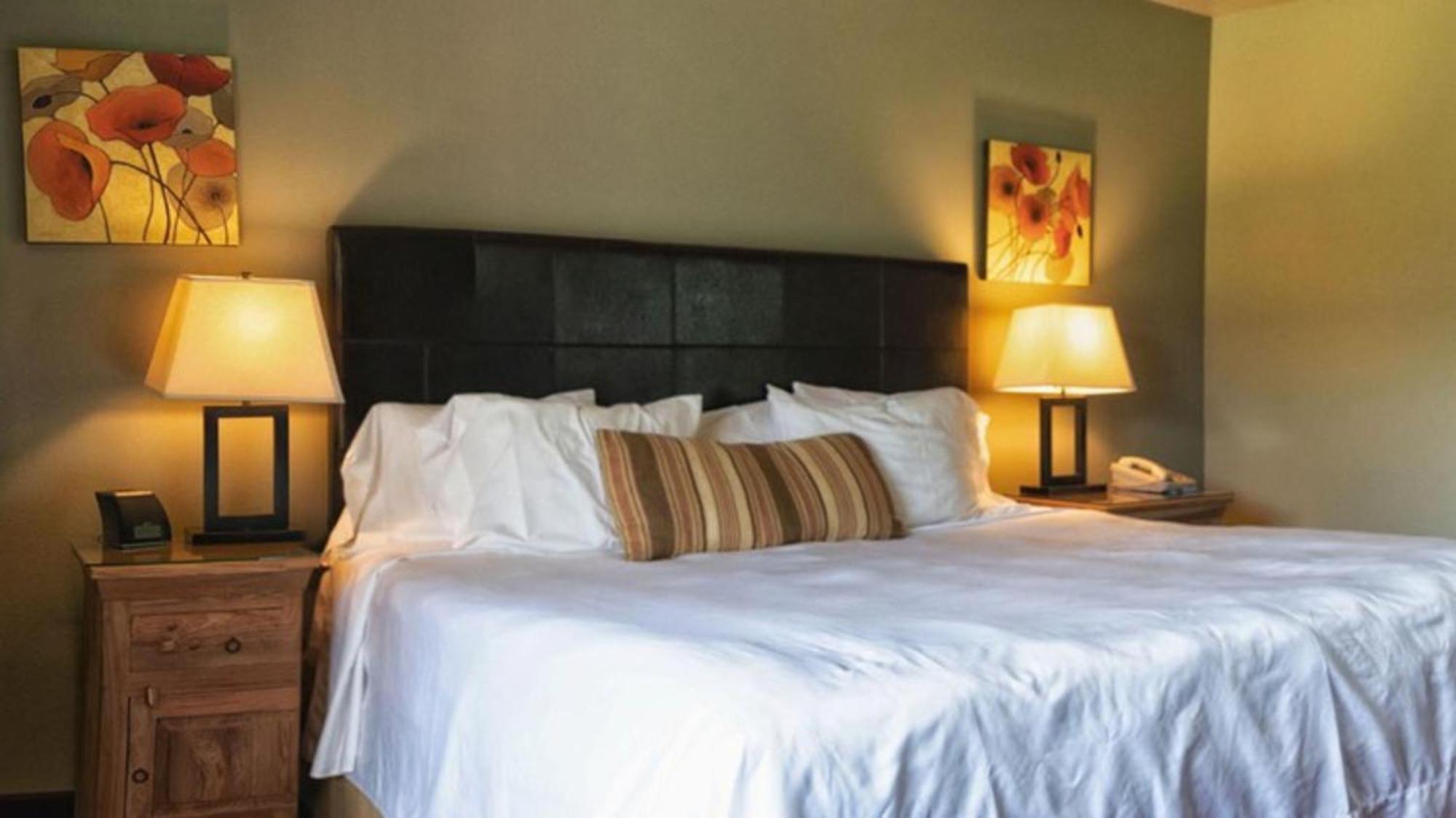 Hotel Driftwood Springdale